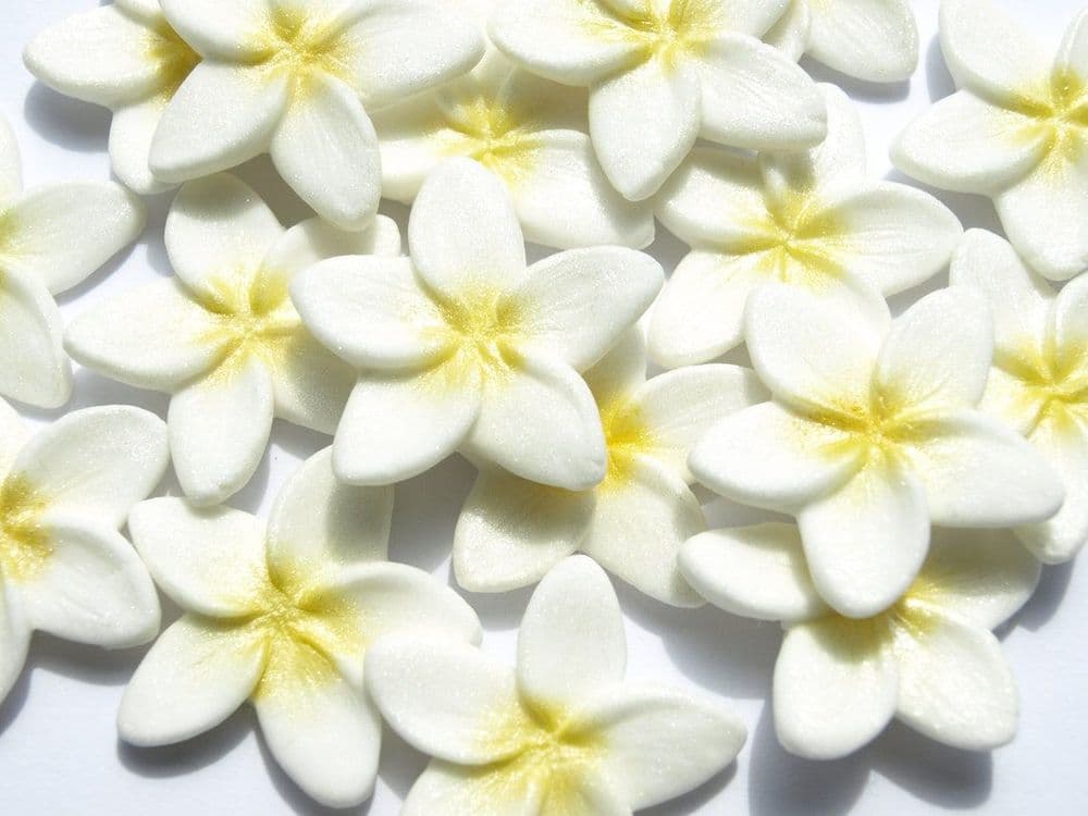 18x Edible Plumeria Flowers Fondant Tropical Frangipani Birthday Cake
