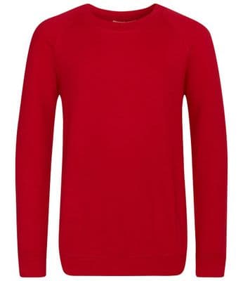 St James LD  SCHOOL JUMPER