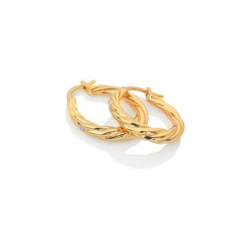 HOT DIAMONDS - Entwine Earrings DE673