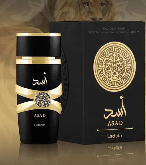Asad Perfume 100ML **Inspired by Dior Sauvage Elixir**