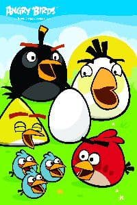 Angry Birds Greeting Card
