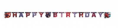 Big Hero 6 party banner