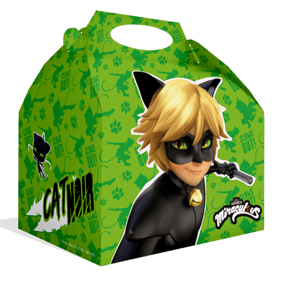 Cat Noir Cardboard Lunch Boxes