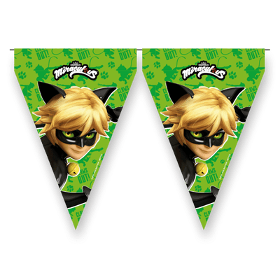Cat Noir Party Flag Bunting
