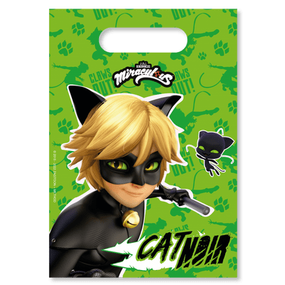 Cat Noir Party Loot Bags with Handles