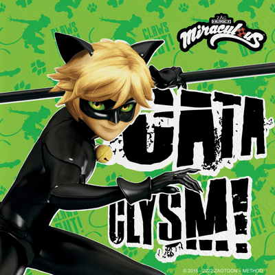 Cat Noir Party Napkins