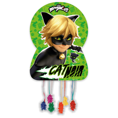 Cat Noir Party Pinata Large