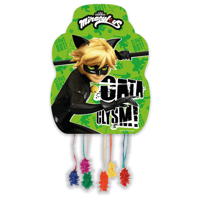 Cat Noir Party Pinata Medium