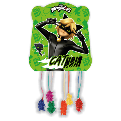 Cat Noir Party Pinata Small