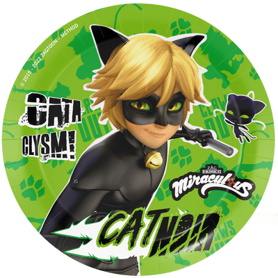Cat Noir Party Plates 23cm