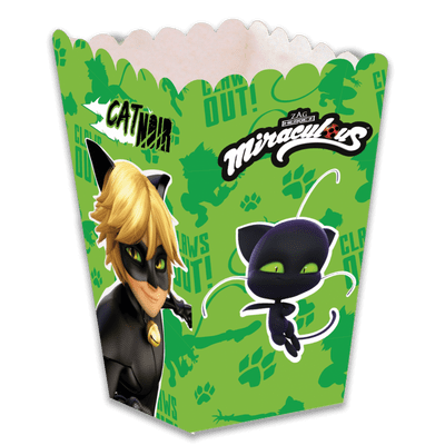 Cat Noir Popcorn Boxes