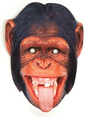 Chimpanzee Animal Face