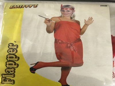 Flapper Dress 1920 Dress Up