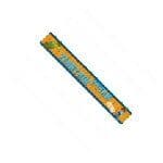 Go Diego Party Foil Banner