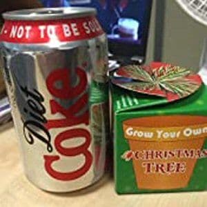 Grow Your Own Christmas Tree Kit