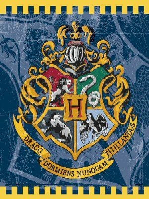 Harry Potter Plastic Party Lootbags
