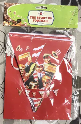 Ladybird Vintage Football Party Bunting