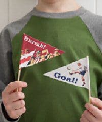 Ladybird Vintage Football Party Flags