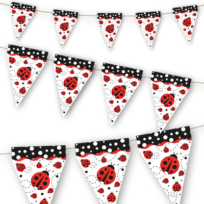 LADYBUG 3 meter pennant