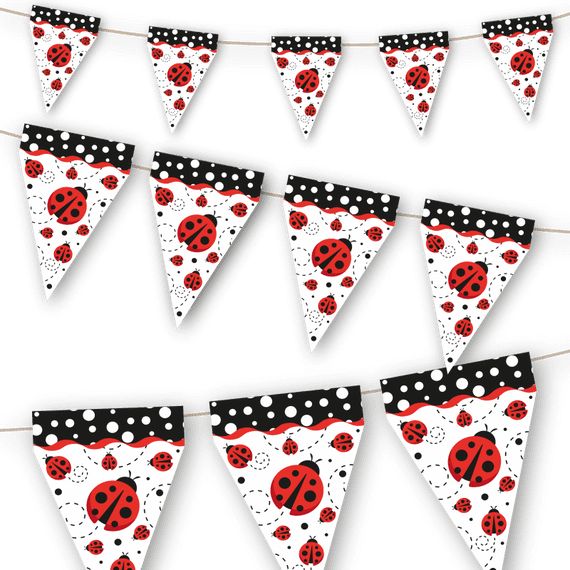 LADYBUG 3 meter pennant