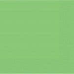 Lime Green Paper Party Napkins