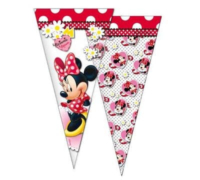 Minnie Mouse cone cello party sweet bags
