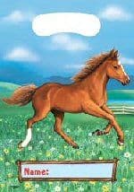My Horse Party Supplies