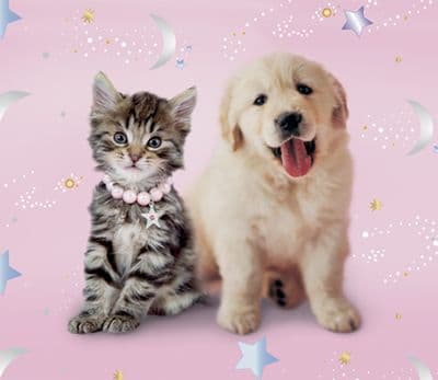 Rachael Hale Dogs and Cats Party Supplies