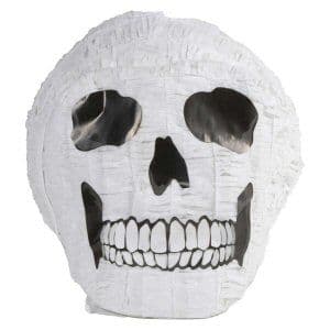 Skull Standard Party Pinata