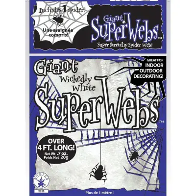 Spider Web With Spider