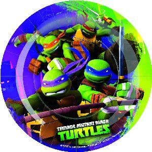 Turtles Tableware
