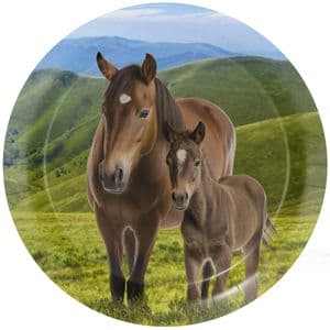 Wild Horses Party Supplies