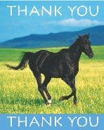 Wild Horses Party thank yous