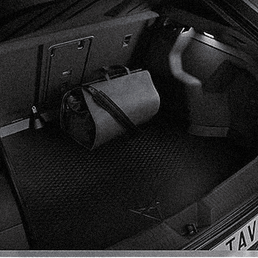 CUPRA TAVASCAN Boot Tray