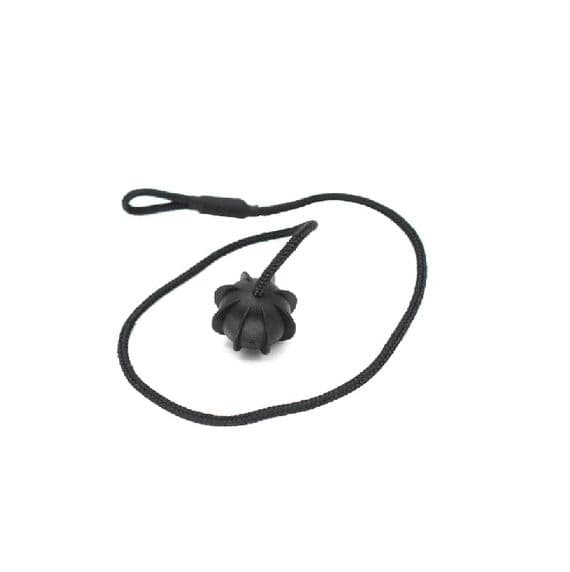 Skoda Fabia Rear Parcel Shelf Cord