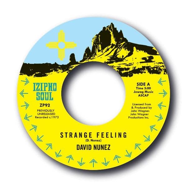DAVID NUNEZ - STRANGE FEELING