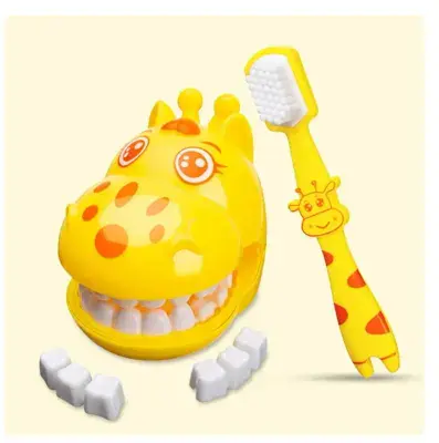 Children Dental Teeth Model for Mouth Brushing Teaching Dentist Model