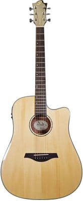 Sevinia Solid Top Series Electro-Acoustic Guitars