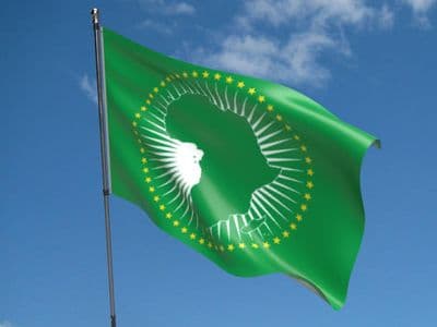 African Union Flag 5ft x 3ft