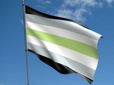 Agender Flag 5ft x 3ft