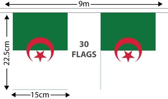 Algeria Bunting | Buy Algeria Bunting | North West Flags