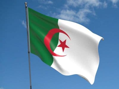 Algeria Flag 5ft x 3ft