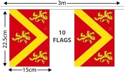 Anglesey Bunting (3m)