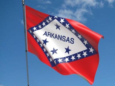 Arkansas State 5ft x 3ft Flag
