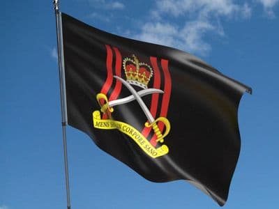 Army Physical Training Corps Camp Flag - 5ft x 3ft | Standard Polyester