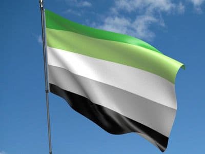 Aromantic 5ft x 3ft Flag