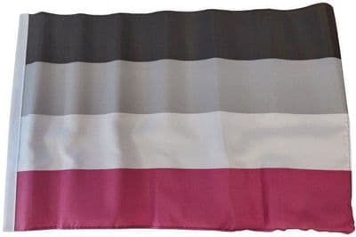 Asexual Flag - 17