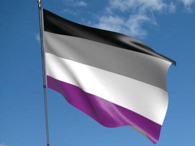 Asexual Flag 5ft x 3ft