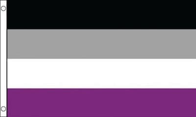 Asexual VALUE Flag - 3ft x 2ft