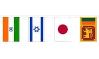 Asia Country Mixed Bunting 13m 44 Flags | NWFlags